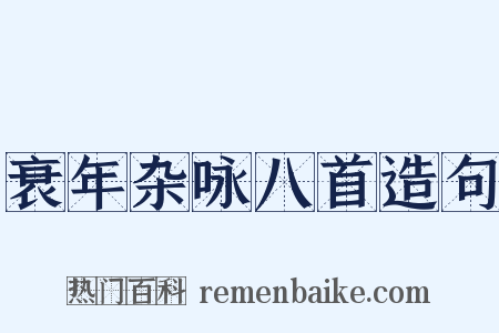 衰年杂咏八首造句是什么意思的图片
